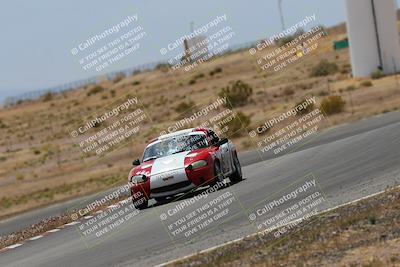 media/May-03-2025-Lucky Dog Racing (Sat) [[206de64b9d]]/Turn 6 (150pm-230pm)/